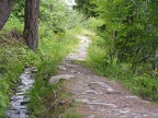 PICT0010