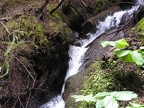PICT0028