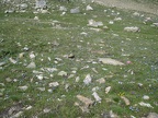 IMG 0637