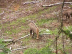 PICT0061